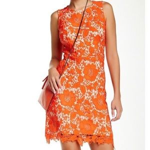 ECI Lace Dress Tomato (orange) Sz10